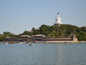 聊城鲸鱼艺术中心盛大开放，诚邀艺术人才加入我们聊城鲸鱼艺术中心招聘信息